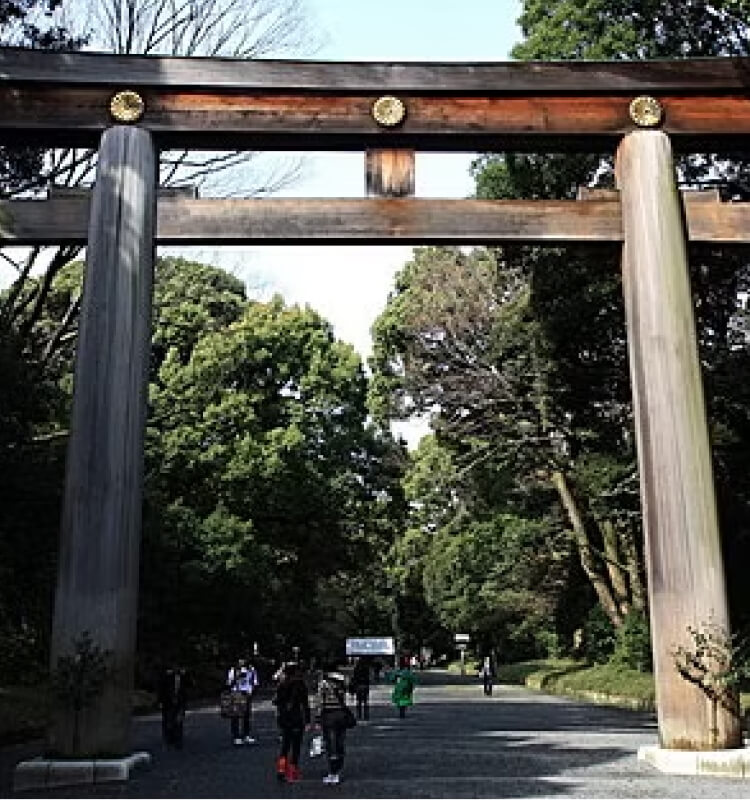 明治神宮の鳥居