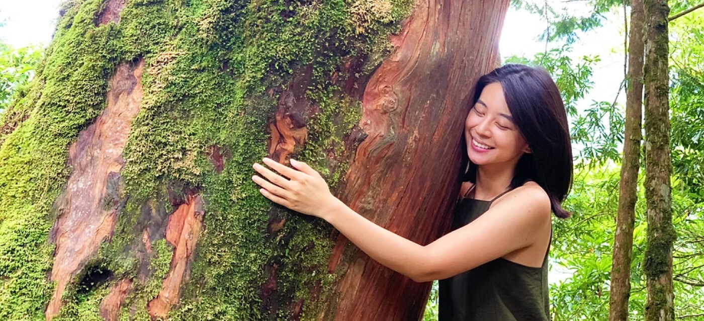 台湾ヒノキに触れる様子